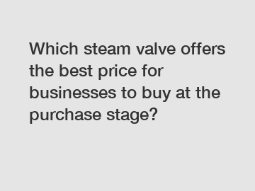 Which steam valve offers the best price for businesses to buy at the purchase stage?