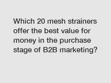 Which 20 mesh strainers offer the best value for money in the purchase stage of B2B marketing?